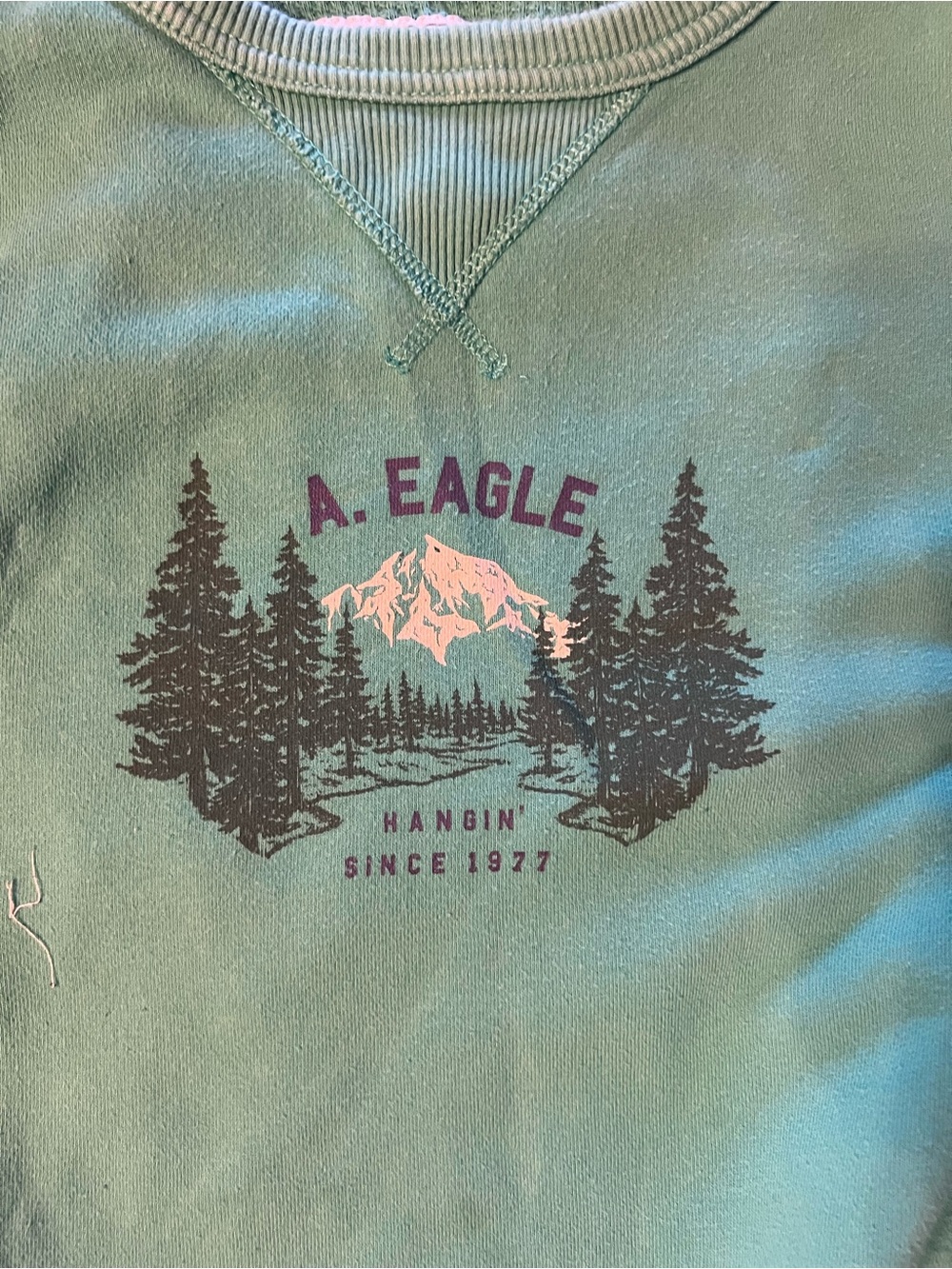 American Eagle Outfitters Teal Crewneck Sweatshirt with Mountain Graphic